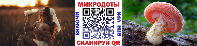 Псилоцибиновые грибы MAGIC MUSHROOMS  сколько стоит  Городовиковск 