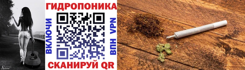 Конопля тримм цены ОМГ ОМГ рабочий сайт Городовиковск